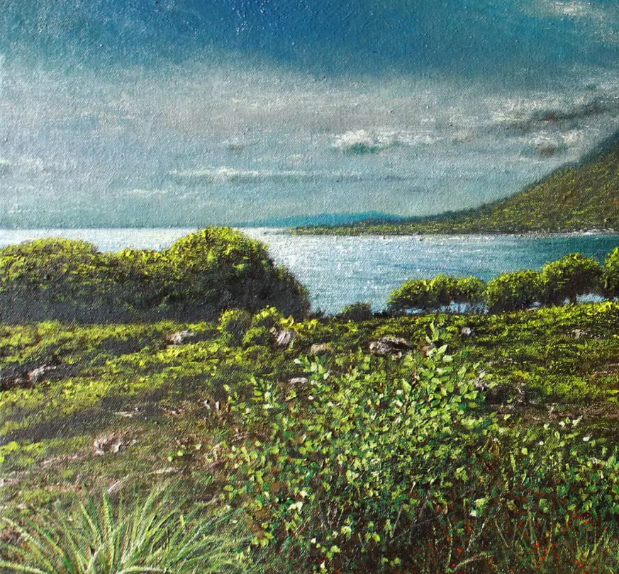 Road to the Volcano, imagen 2 — Galería Enmanuel