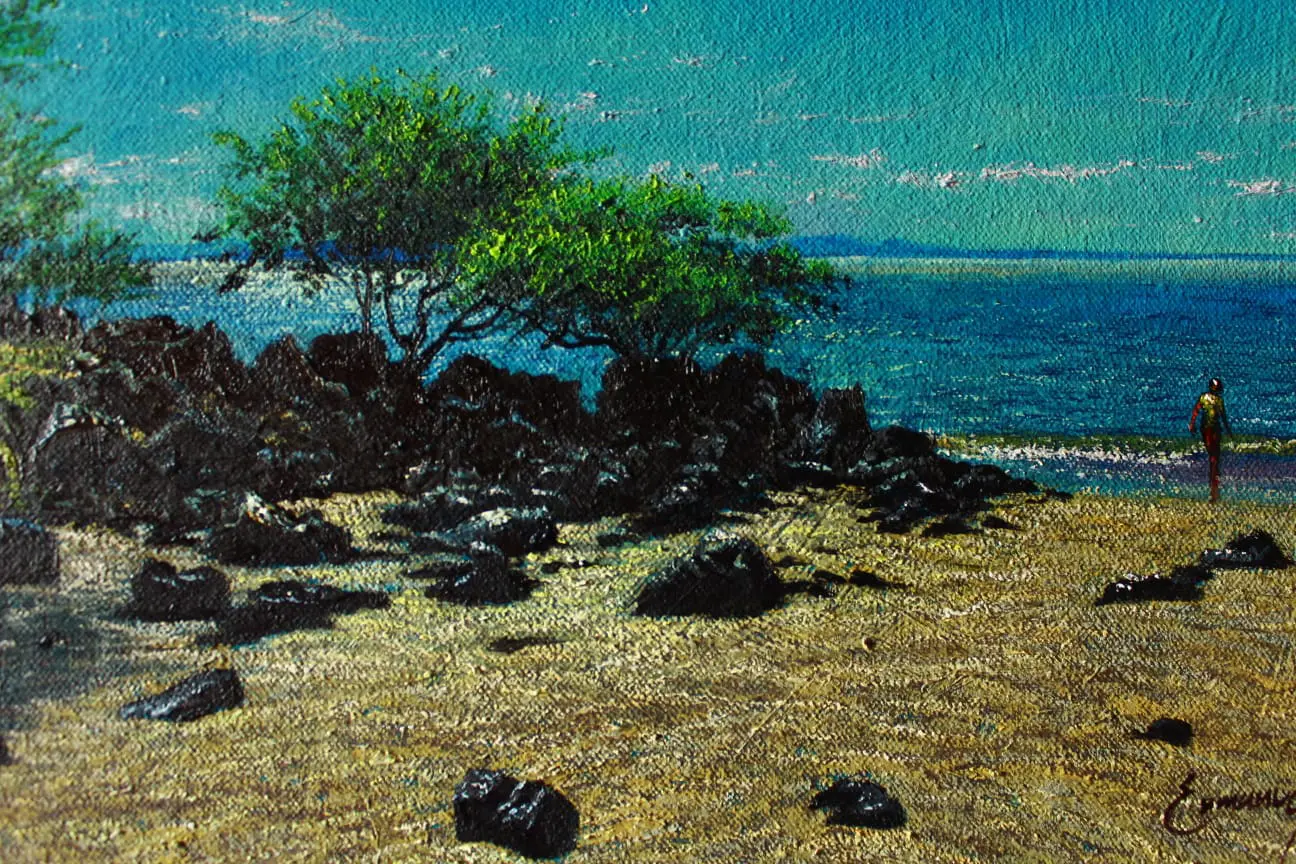 El Zapote Beach, imagen 3 — Galería Enmanuel