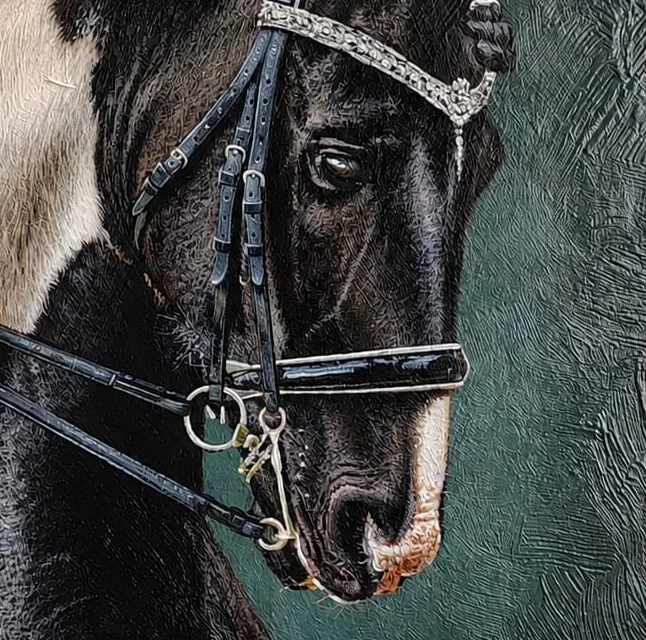 The Paint Horse, imagen 3 — Galería Enmanuel